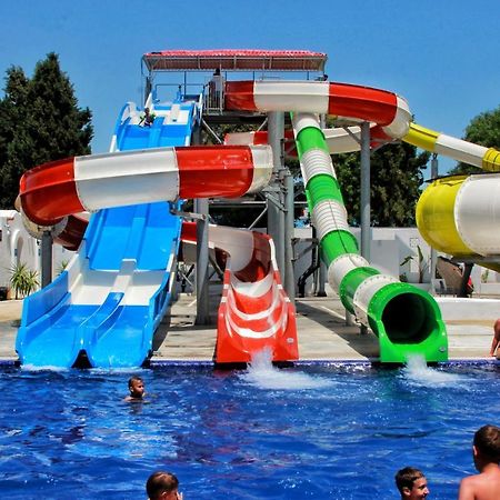 Samira Club Family And Couples Only Hotel Hammamet Eksteriør billede